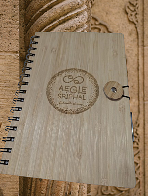 Bamboo Diary 2025 with Bamboo pen